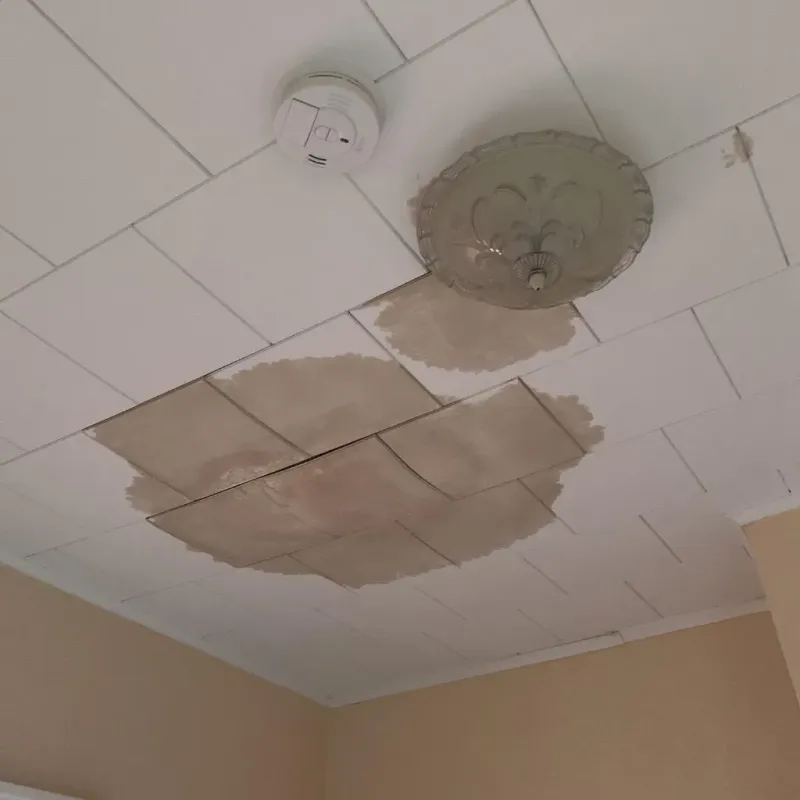 Ceiling Water Damage Repair in Springville, AL