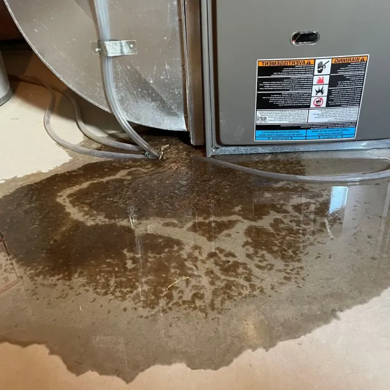 Pipe Burst and Leak Restoration in Springville, AL