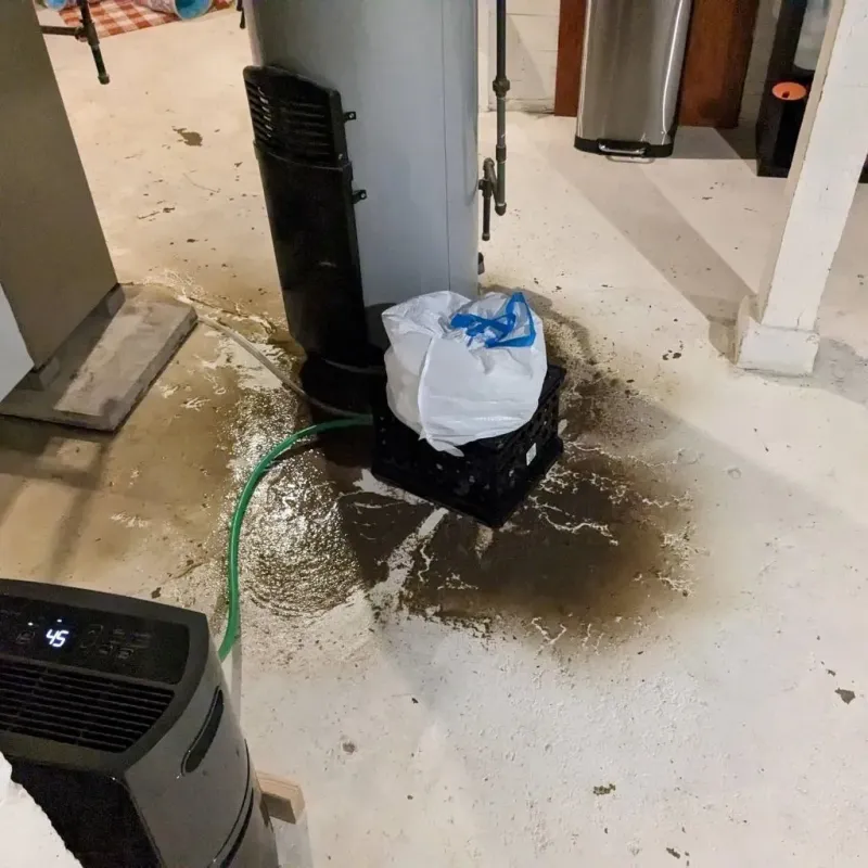 Sewage Backup Cleanup Service in Springville, AL